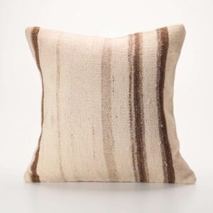 Champaigne Pink B11 Pillow